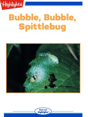 cover image of Bubble Bubble Spittlebug